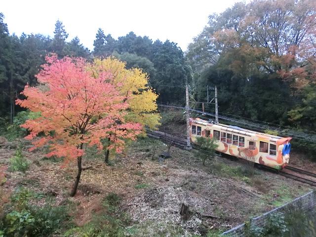 View photos from the dwelling unit. A view from the veranda.