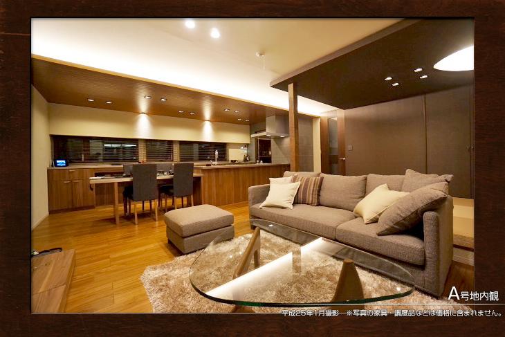 Living.  [A No. land] [A No. land introspection] 2013 January shooting  ※ Etc. accessories in the photo are not included in the price. 