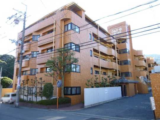 Local appearance photo. Apartment appearance of