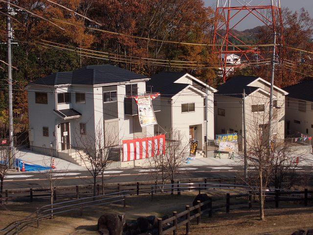 Local appearance photo. Overlooking the local than potato mountain park