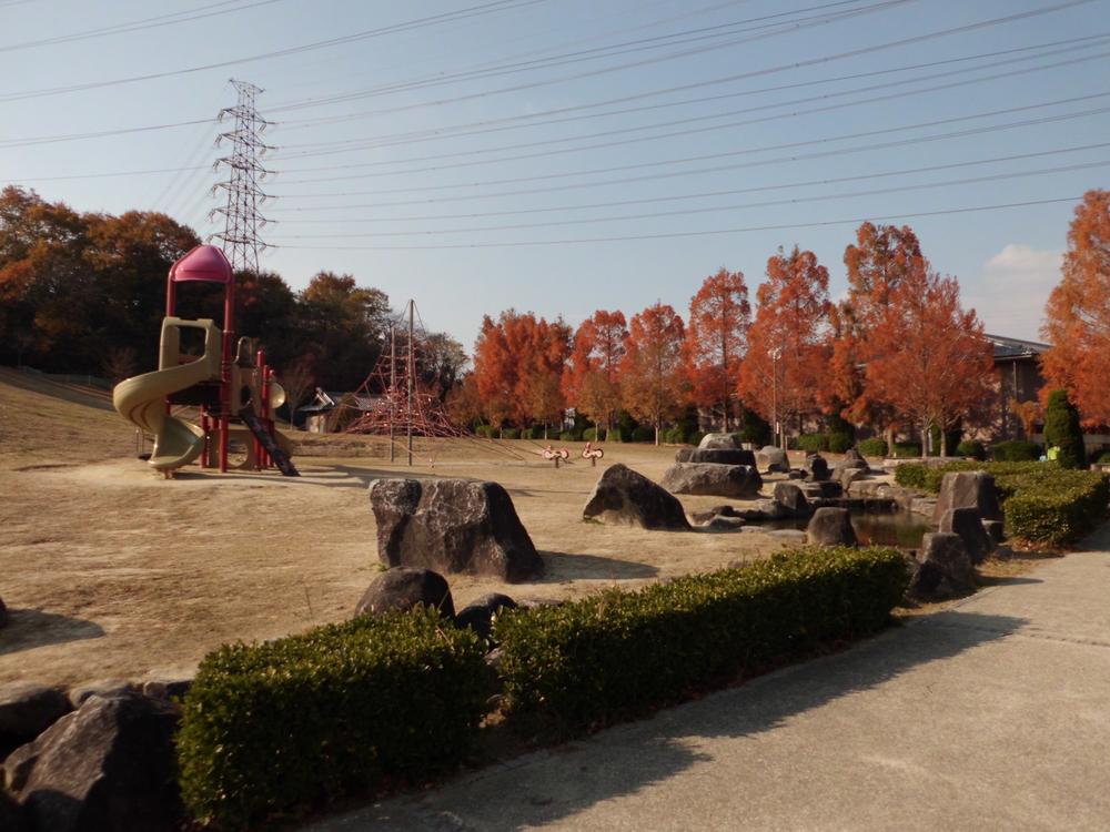 Other. Is colored leaves potato mountain park local eyes before now