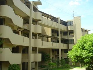 Local appearance photo. Local (12 May 2013) Shooting