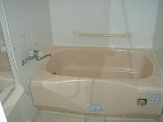 Bathroom. Indoor (12 May 2013) Shooting