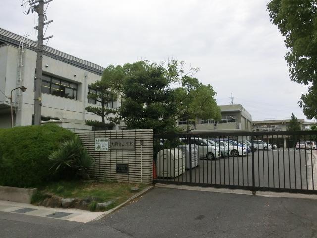Primary school. Ikoma Municipal Ikomadai to elementary school 228m