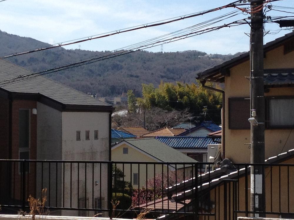 View photos from the dwelling unit. View from local (March 2013) Shooting