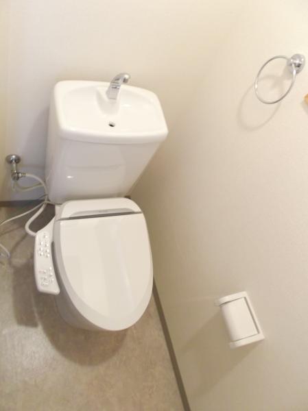 Toilet. Brand new, With warm water washing toilet seat