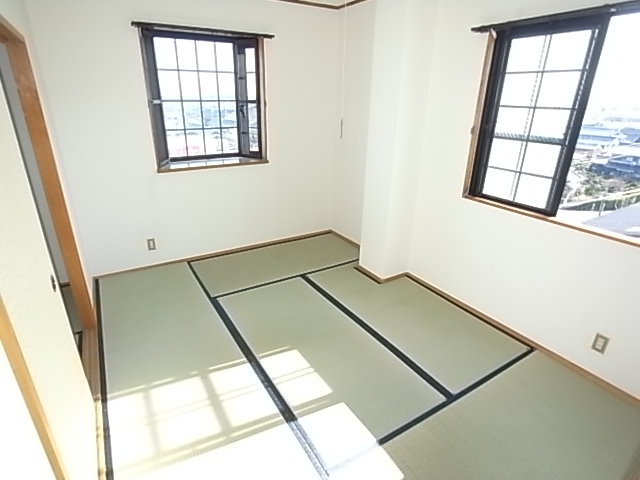 Other room space. Bright Japanese-style room