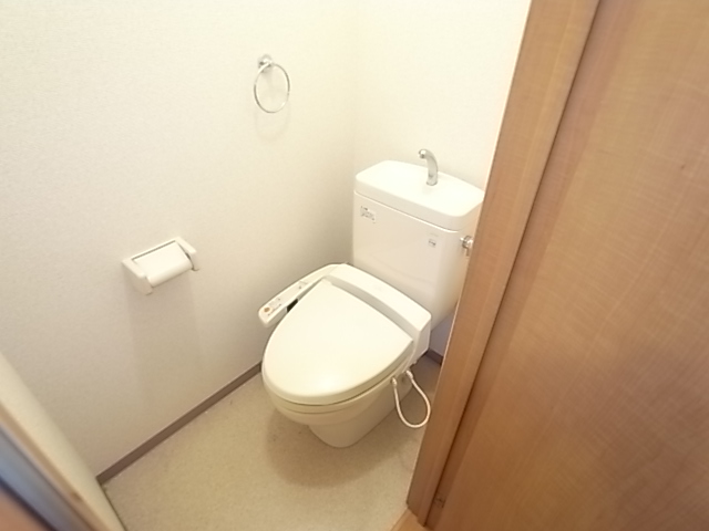 Toilet. With Washlet!