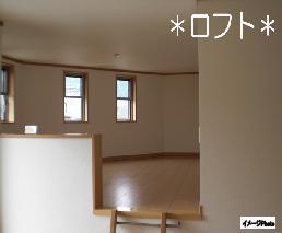 Receipt. Free Plan: Loft