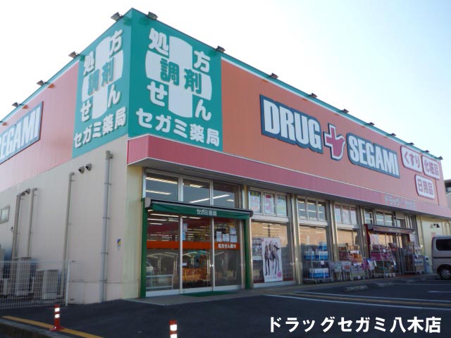 Dorakkusutoa. Drag Segami Yagi shop 731m until (drugstore)
