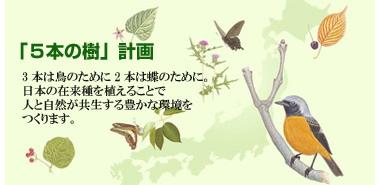 Other. Three is for the birds, Two in order of butterfly. In the Sekisui House with great such a thought, Garden planning to plant five trees suitable for the climate of the region, We promote urban development.