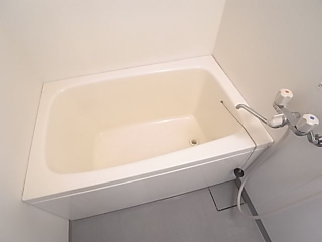 Bath. Bathroom is brand new! (^^)! Water around it is indeed a good feeling