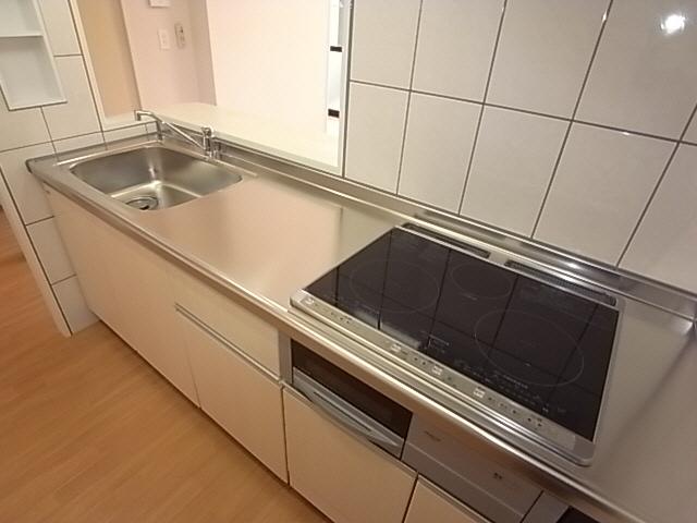 Kitchen. IH system kitchen with cooking heater