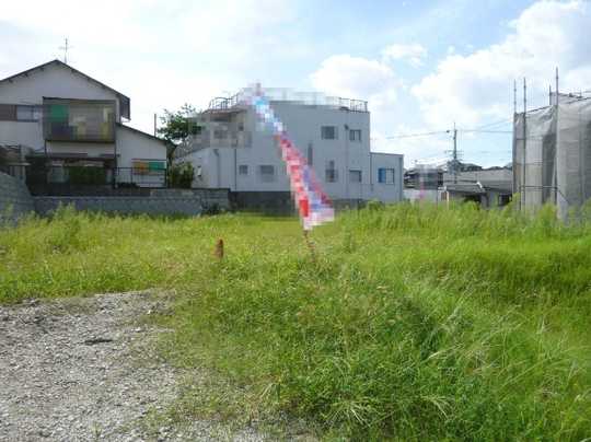 Local land photo. (5) No. land appearance