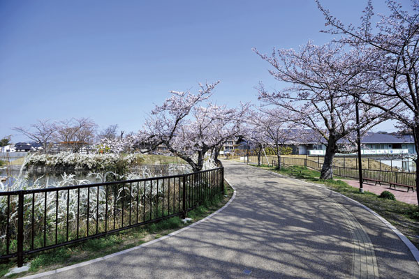 Surrounding environment. Promenade that can be round the pond, Just the right distance to the day-to-day walk course. It is also increased in beautifully landscaped previously, It shines like water and the green of a large garden. From amusement park of a era, Ayameike that has been known for its cherry blossoms. Even now, Its beautiful landscape is alive and well does not change (Ayameike / 1-minute walk ・ About 20m)