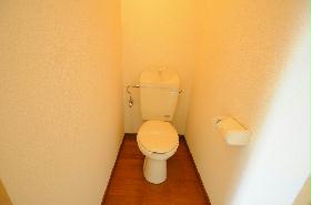 Toilet. toilet Flooring