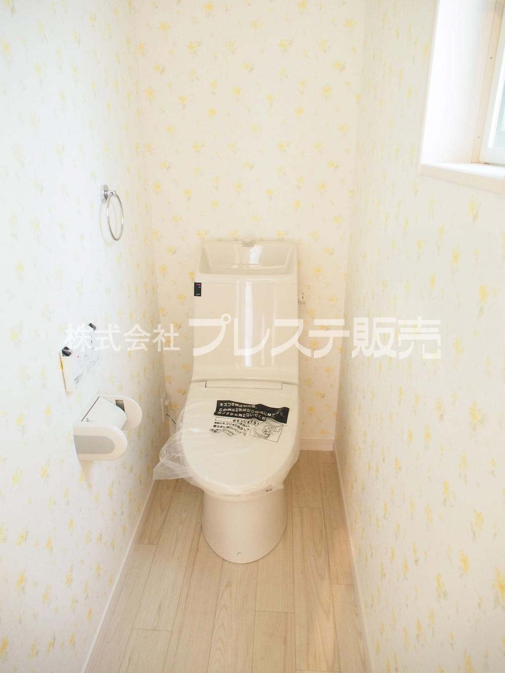 Toilet. Local photo (B No. land toilet)