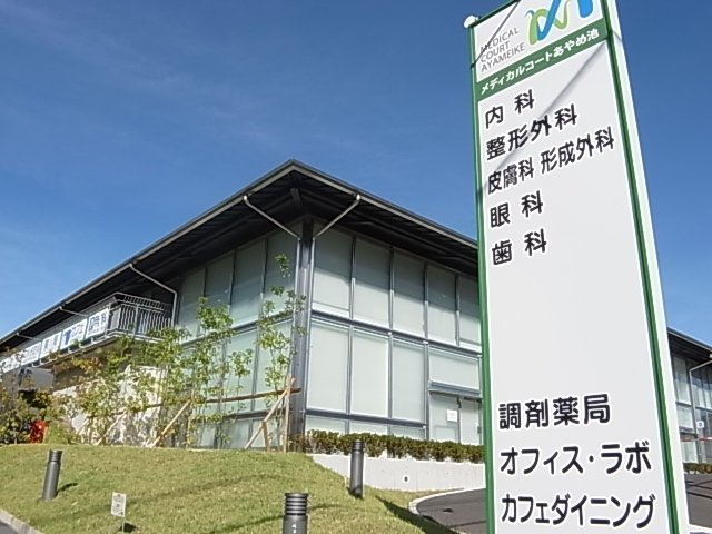 Hospital. 1210m until the Medical Court Ayameike (hospital)