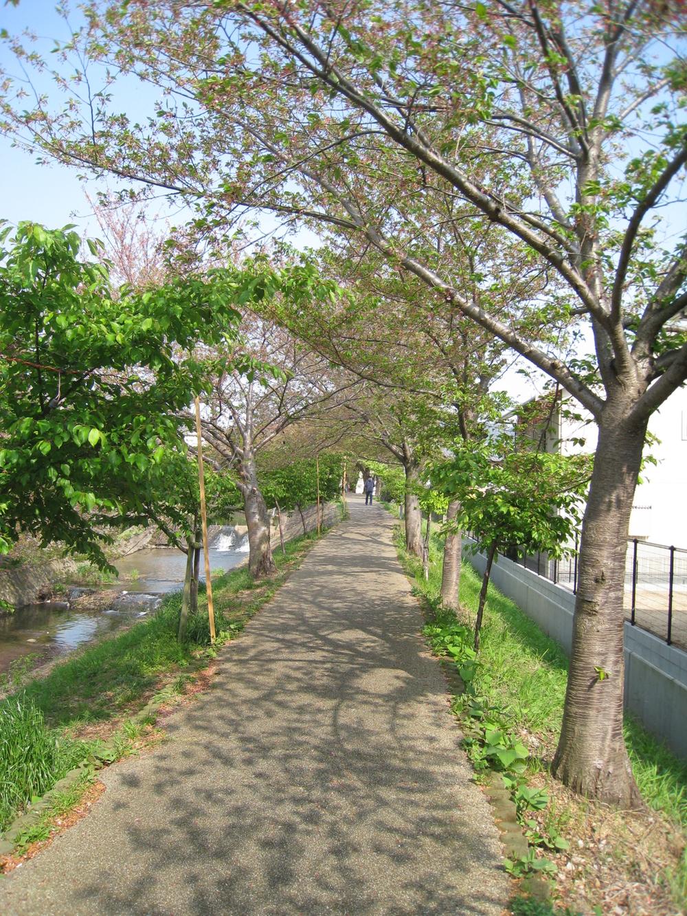 Other. There is a row of cherry blossom trees along the Sahogawa,          It is very beautiful in the spring. 