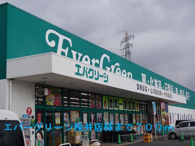 Dorakkusutoa. Evergreen Sakurai shop 700m until (drugstore)