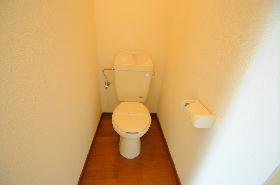 Toilet. Also flooring toilet