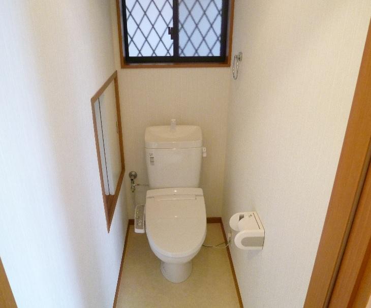 Toilet. Was replaced by the LIXIL made new