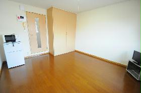 Living and room. All rooms flooring.  SECOM use is free of charge.