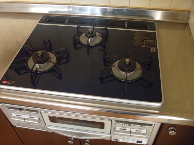 Other introspection. Still new gas stove