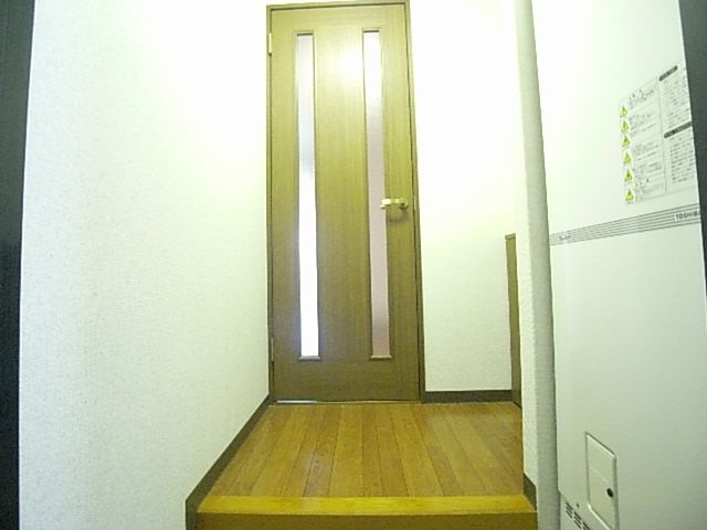 Entrance. Shoes BOX also are equipped pat