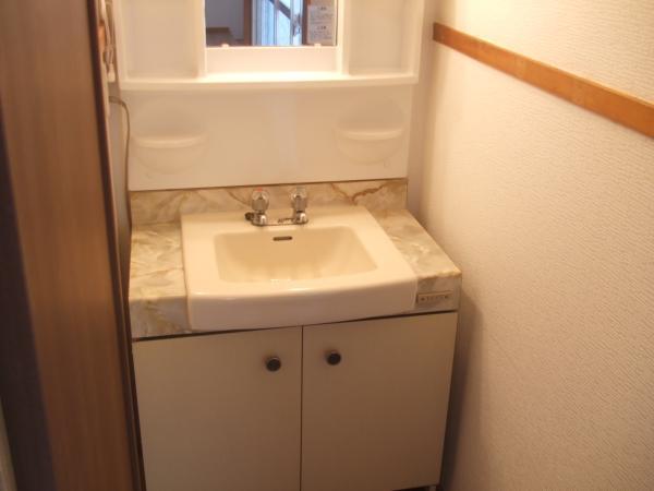 Wash basin, toilet. With vanity