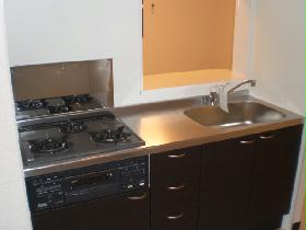 Kitchen. Counter Kitchen / Gas stove