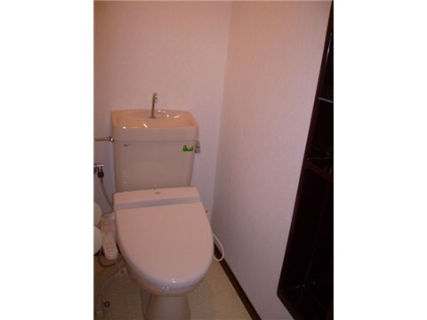 Other. Toilet