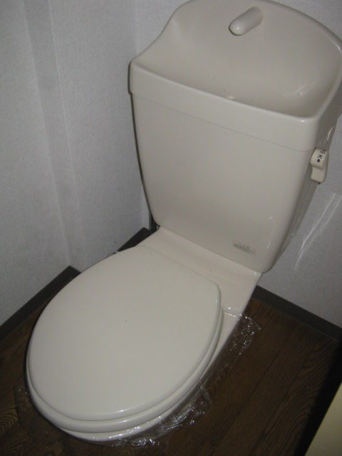 Toilet