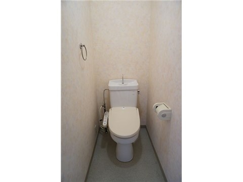 Other. Toilet