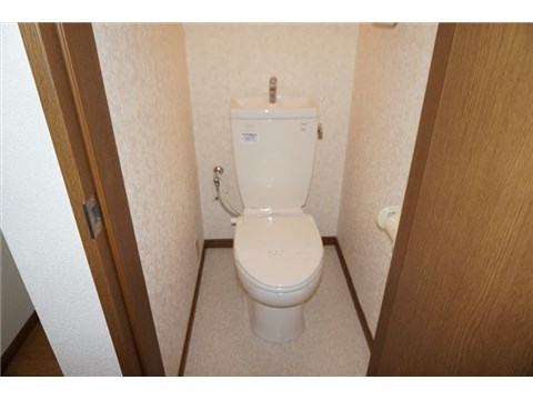 Other. Toilet