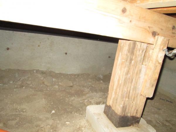 Other introspection. Under the floor is termite extermination work already