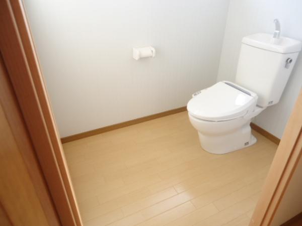 Toilet. Toilet does not have spacious step