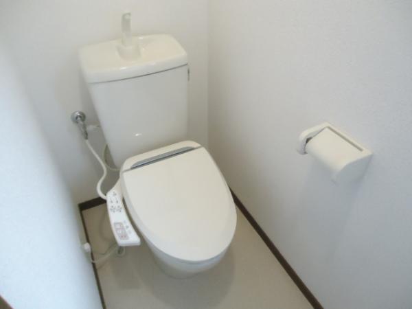 Toilet. A clean new toilet installation