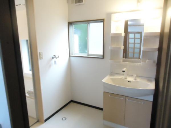 Wash basin, toilet. Vanity with shower