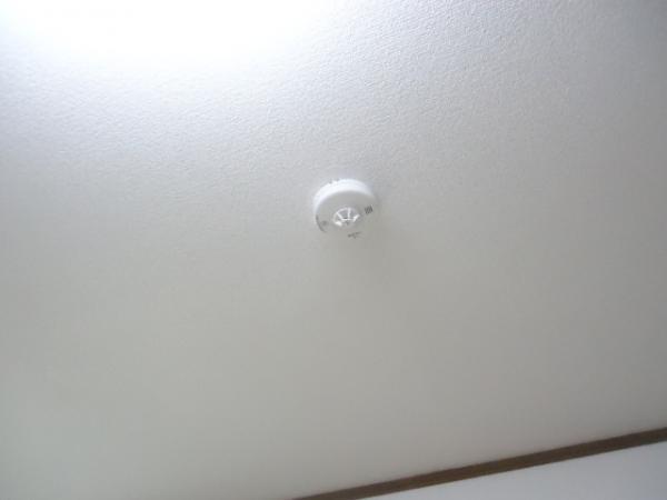 Security equipment. Fire alarm installed in each room