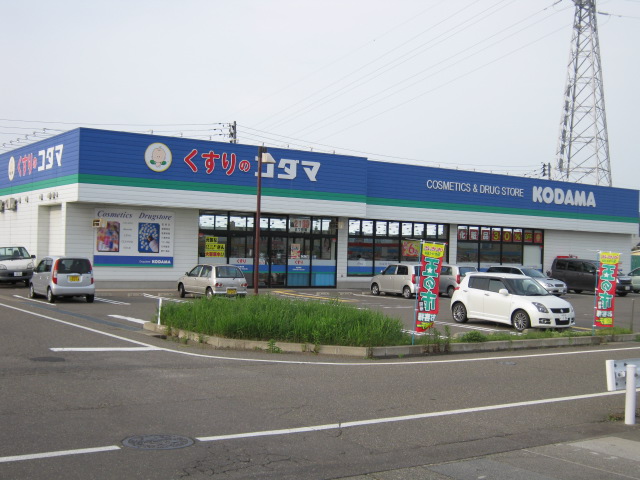 Dorakkusutoa. Medicine of Kodama Joetsu Kokufu shop 478m until (drugstore)