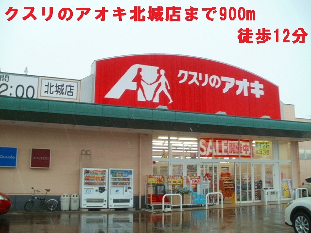 Dorakkusutoa. Medicine of Aoki 900m to (drugstore)