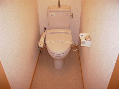 Other. Toilet