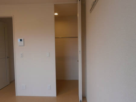 Other. Hey walk-in closet and nice