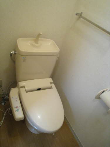 Toilet. There is warm water washing toilet seat