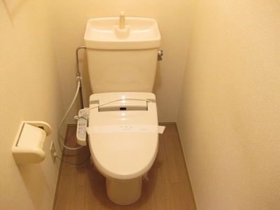 Toilet. It arrived warm water washing toilet seat! 