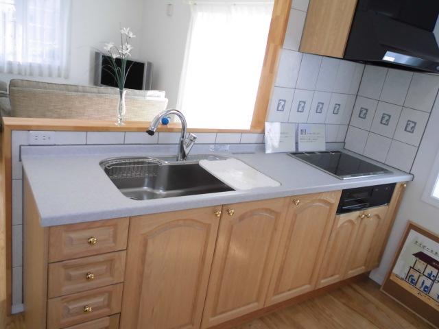 Kitchen. Indoor (10 May 2013) Shooting