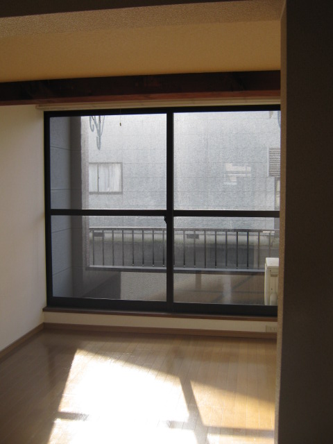 Living and room. Windows Okkii