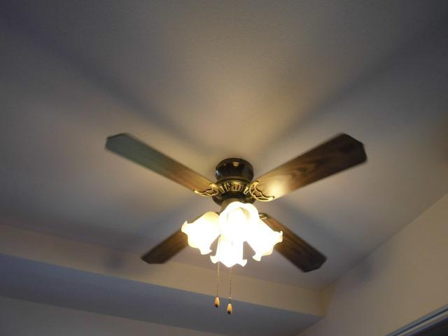 Other. living, With ceiling fans