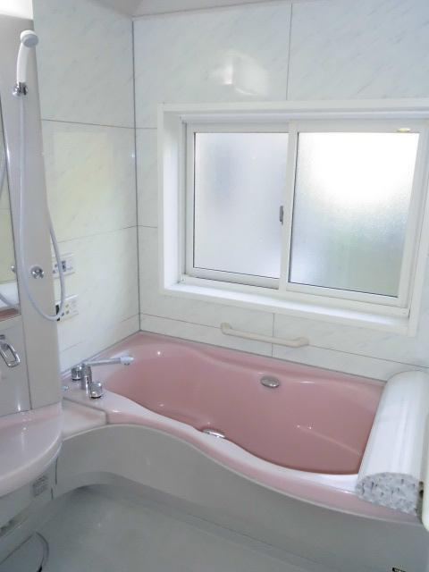 Bathroom. Indoor (10 May 2013) Shooting